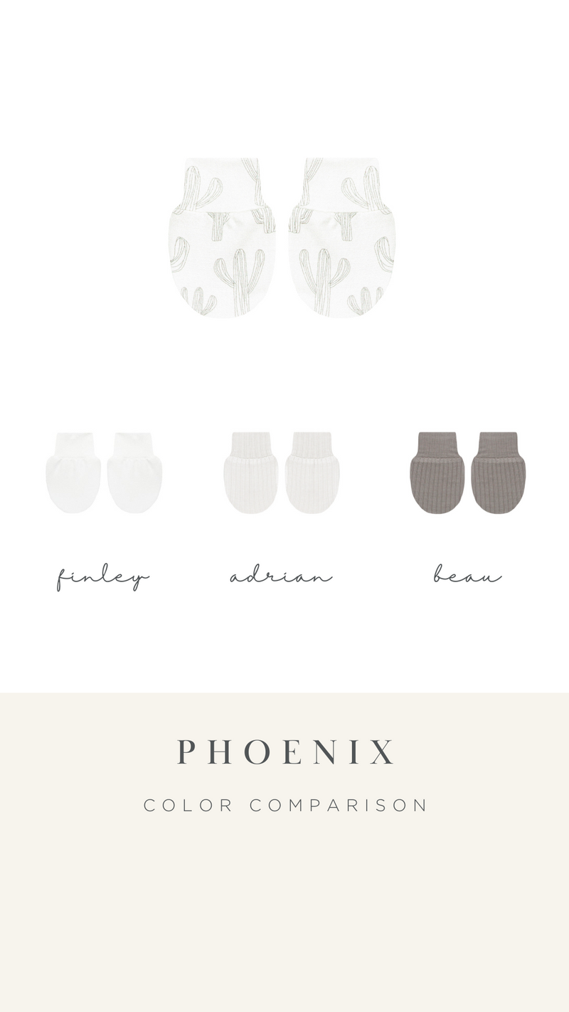 Phoenix Newborn Hat Bundle